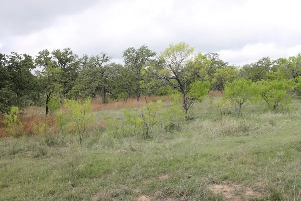 8095 RR 2618 RD, Mason, TX 76856