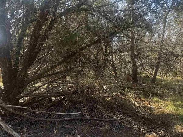 Lot 12 Longhorn Dr., Burnet, TX 78611