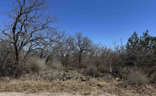 Lot 218 Western DR, Kingsland, TX 78639