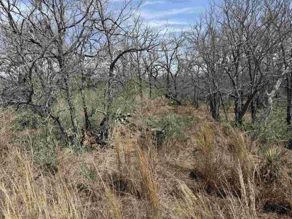 Lot 294 Pinemont DR, Kingsland, TX 78639