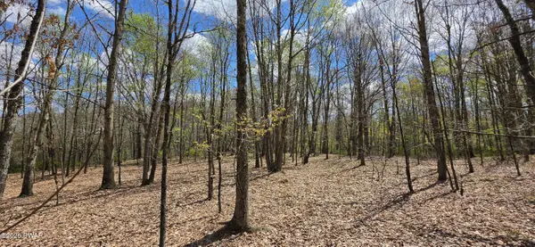 Lot 17.14 Skipperene RD, Cochecton, Ny, NY 12726