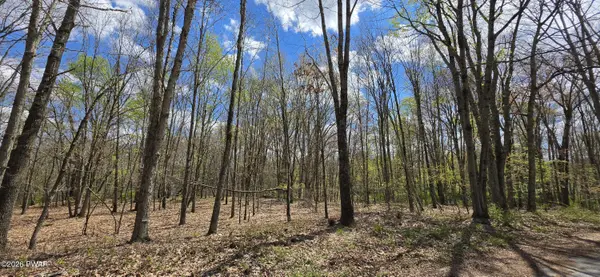Lot 17.14 Skipperene RD, Cochecton, Ny, NY 12726