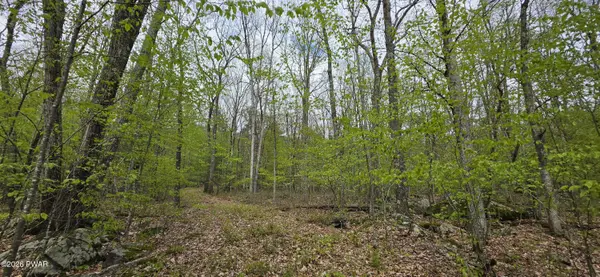 Lot 23.21 State Route 97, Narrowsburg, Ny, NY 12764