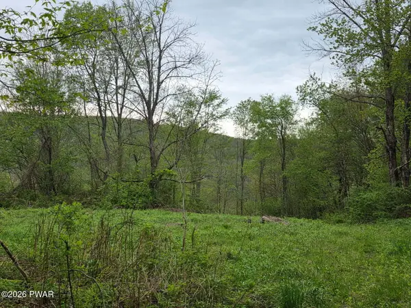 33 Bucks RD, Susquehanna, PA 18847