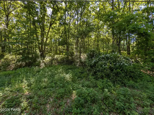 Lot166&167 Rockledge RD, Dingmans Ferry, PA 18328