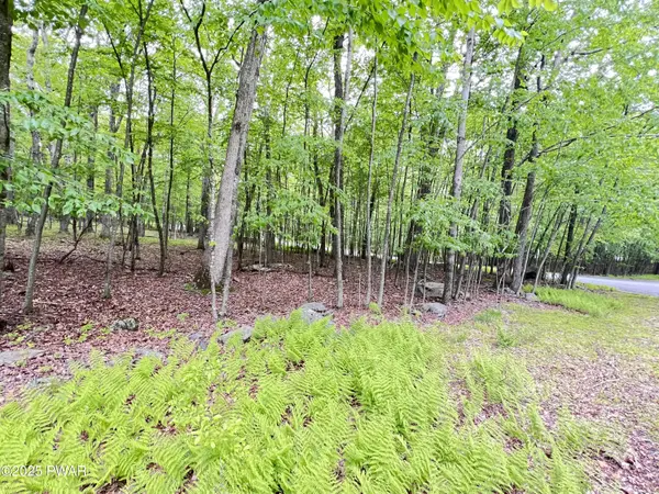 105 Duffys DR, Dingmans Ferry, PA 18328