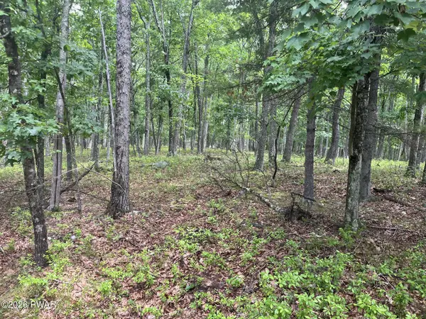 lot 13 Ledgecrest RD, Hawley, PA 18428