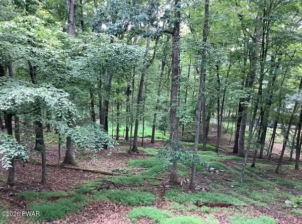 177 Forest Ridge DR, Hawley, PA 18428