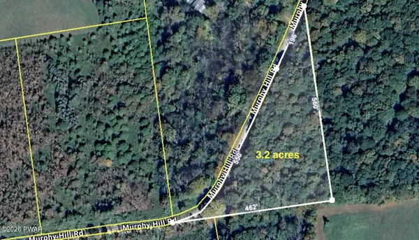 Murphy Hill RD, Pleasant Mount, PA 18453