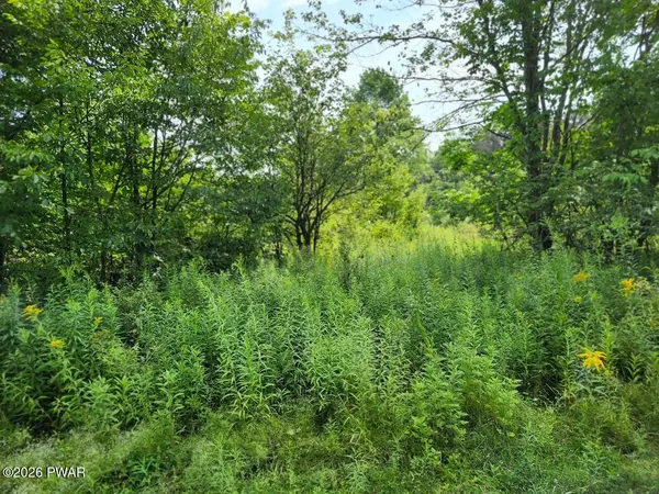 Rotten RD, Equinunk, PA 18417