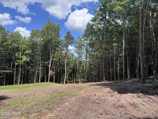 266 Steep Hill RD, Beach Lake, PA 18405