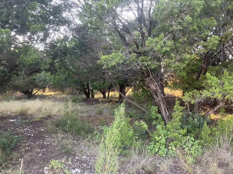 3108 Burnside Circle, Lago Vista, TX 78645