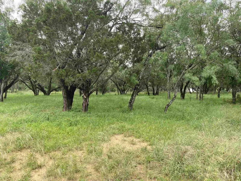 TBD Driftwood LN, Cottonwood Shores, TX 78657