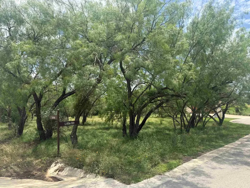 LT W22026 Sun Ray/Little Bit, Horseshoe Bay, TX 78657