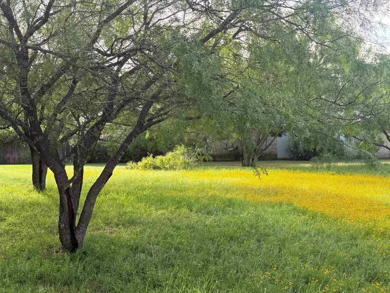 2309 Fault Line Dr, Horseshoe Bay, TX 78657