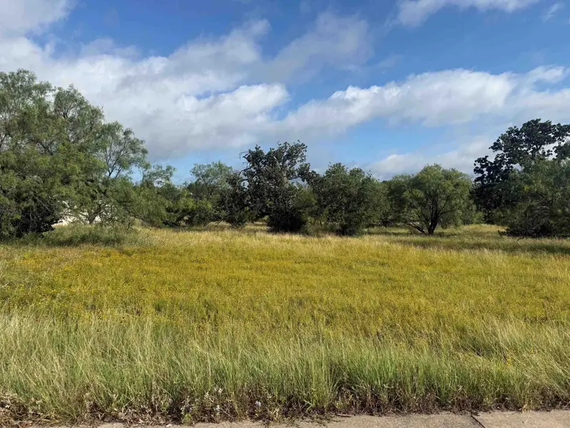 LT W20007-B Fault Line, Horseshoe Bay, TX 78657