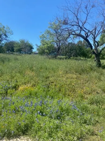 W18072 Spider Valley DR, Horseshoe Bay, TX 78657