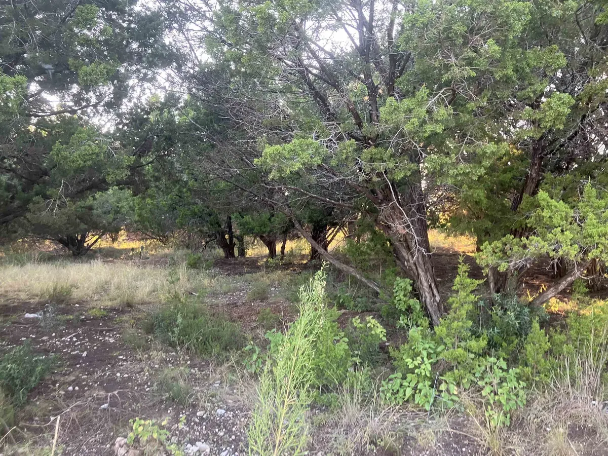 3108 Burnside Circle, Lago Vista, TX 78645