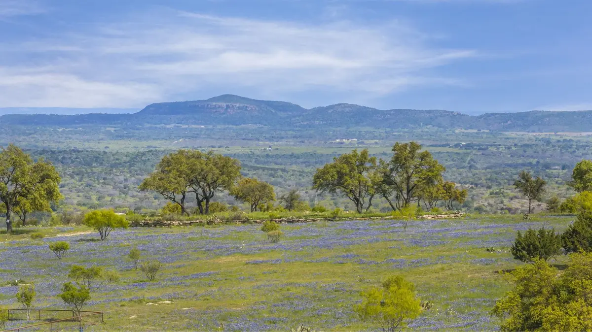 3531 RM 3347 RD, Round Mountain, TX 78663