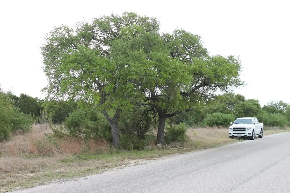 Saddle Ridge Dr. DR, Bertram, TX 78605