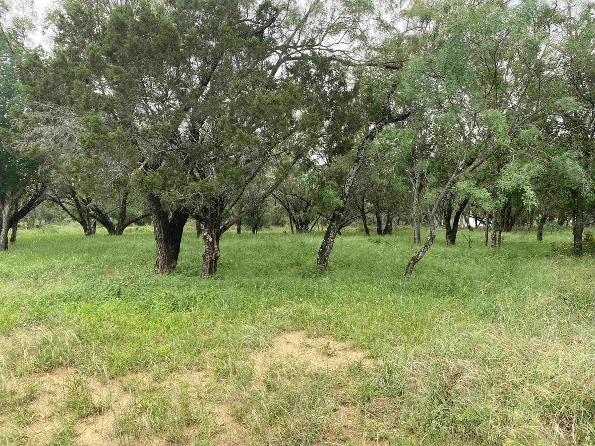 TBD Driftwood LN, Cottonwood Shores, TX 78657