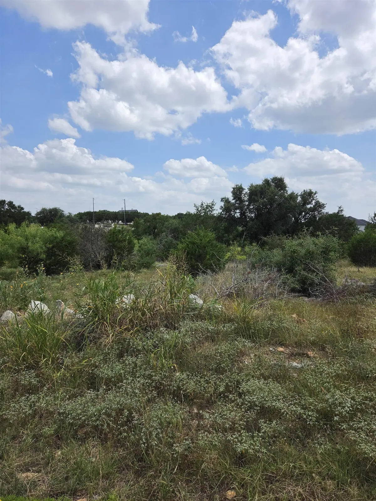 Lot #22 Mustang Ridge Estates, Trophy Oak Trail, Marble Falls, TX 78654-3995