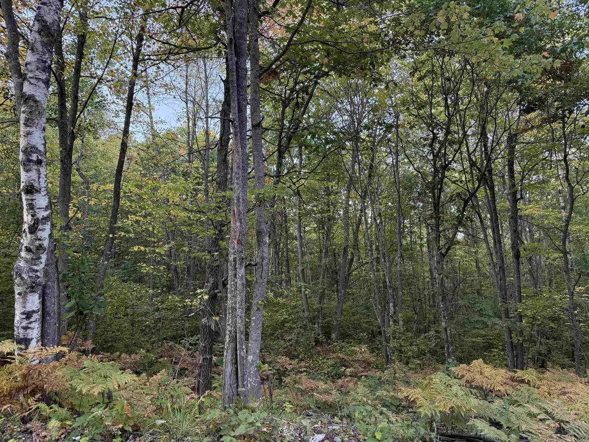 000 Old Hwy 2, Iron River, WI 54847