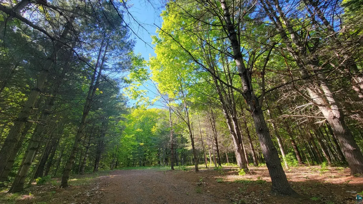 11xxx Old Military Rd, Bayfield, WI 54814
