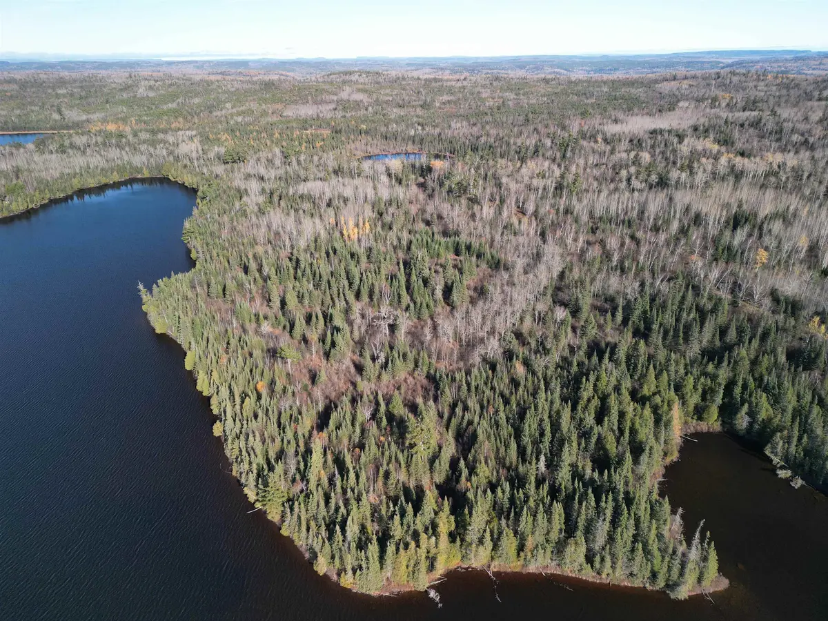 Lot 2 Fullerton Rd, Hovland, MN 55606