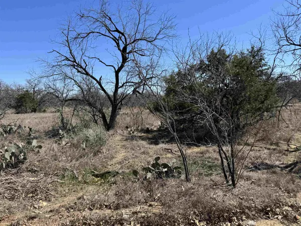 Lot 128 Brent DR, Kingsland, TX 78639