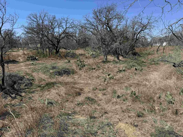 Lot 102 Ridgemont DR, Kingsland, TX 78639