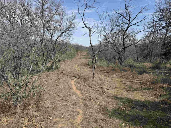 Lot 295 Pinemont DR, Kingsland, TX 78639