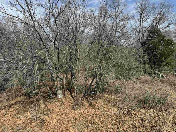 Lot 283-289 Aspermont DR, Kingsland, TX 78639