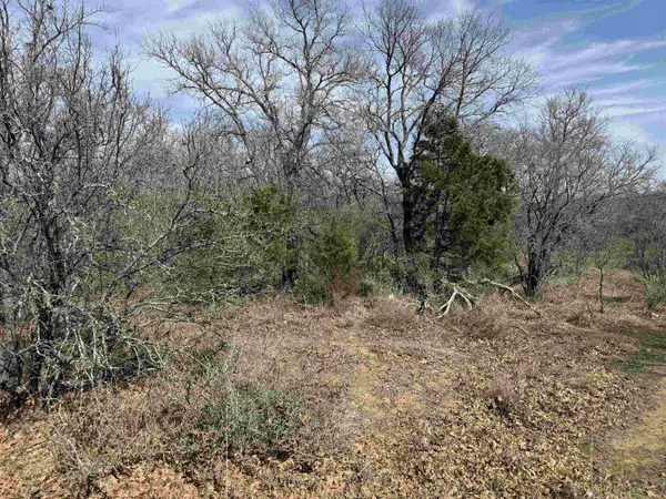 Lot 283-289 Aspermont DR, Kingsland, TX 78639