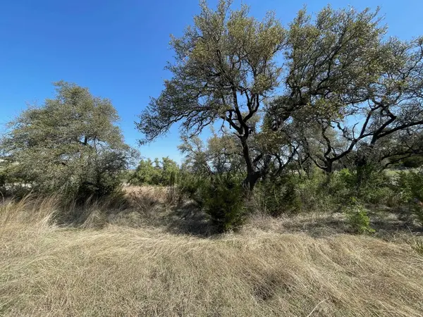 321 Cedar Mountain DR, Marble Falls, TX 78669-2194