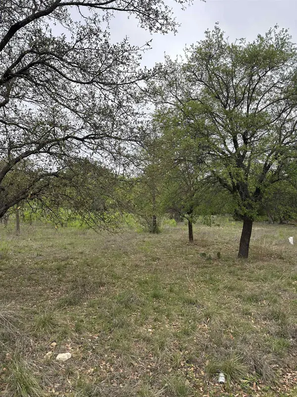 Lot 161 Driftwood Ln, Cottonwood Shores, TX 78657