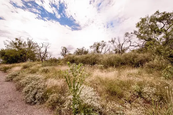 Lot 15 Lyndon DR, Horseshoe Bay, TX 78657