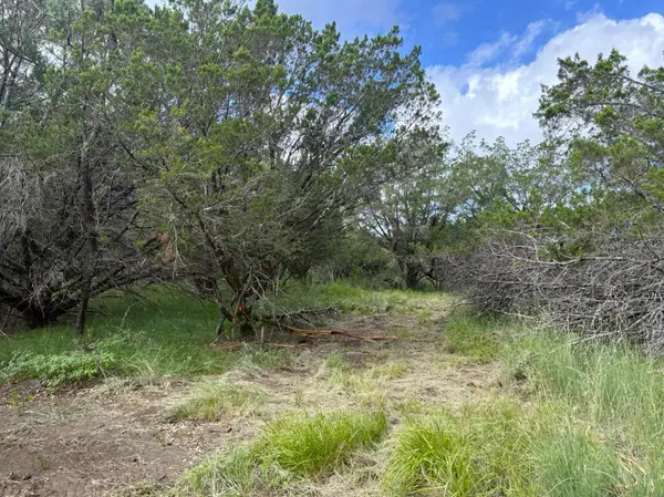 380 Sandy Mountain Dr, Sunrise Beach, TX 78643