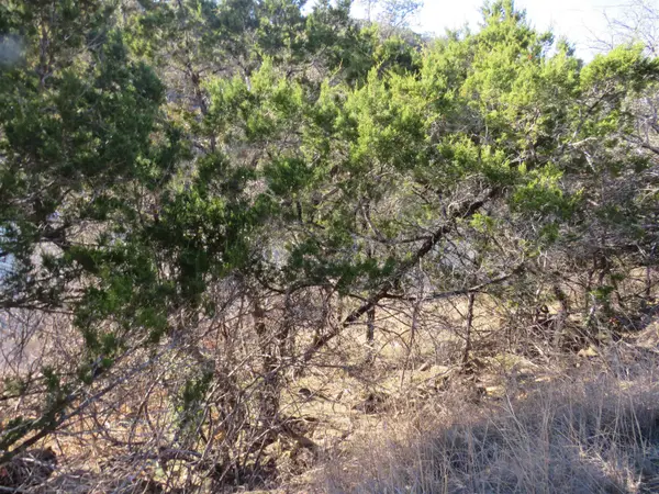 lot 25 SUNSET CLIFF, Burnet, TX 78609