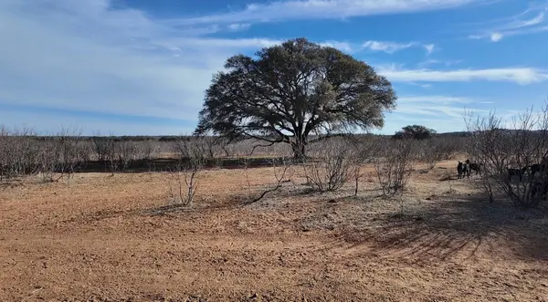 CR 434, Rochelle, TX 76872