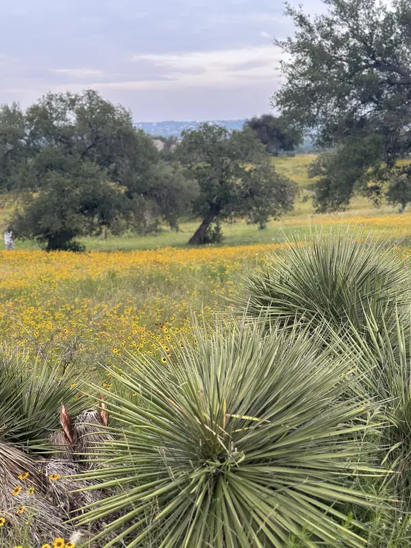 100 Ridge, Horseshoe Bay, TX 78657