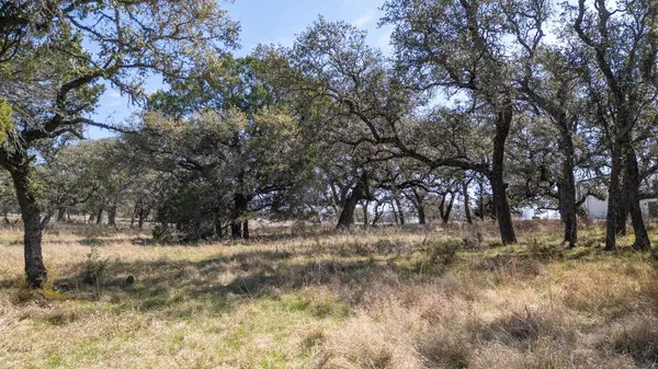 TBD Blackbuck Ridge Dr. Lot 181, Lampasas, TX 76550