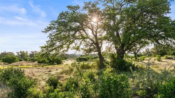 Lot 3 & 4 Vista Ridge, Round Mountain, TX 78663
