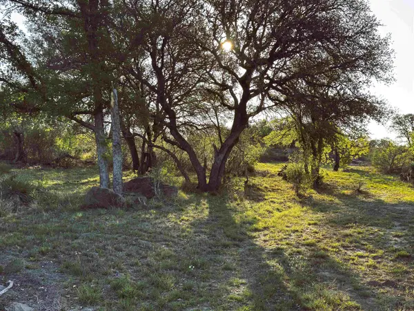 4064 County Road 104, Llano, TX 78643