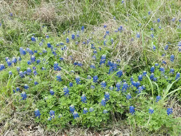 TBD Luckenbach West ST, Llano, TX 78643