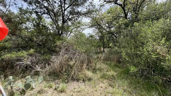 Lot 119 & 118 Ridgemont, Kingsland, TX 78639