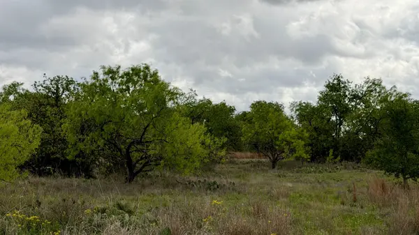 LT 129 Brent, Kingsland, TX 78639