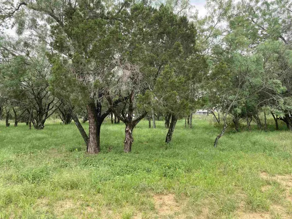 TBD Driftwood LN, Cottonwood Shores, TX 78657