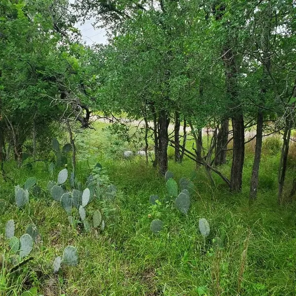 Lots 521, 522 Lake DR, Granite Shoals, TX 78964