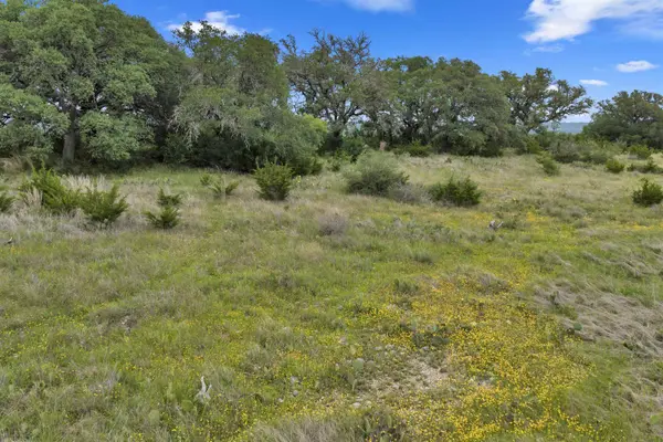 TBD Whitetail RDG, Bertram, TX 78605